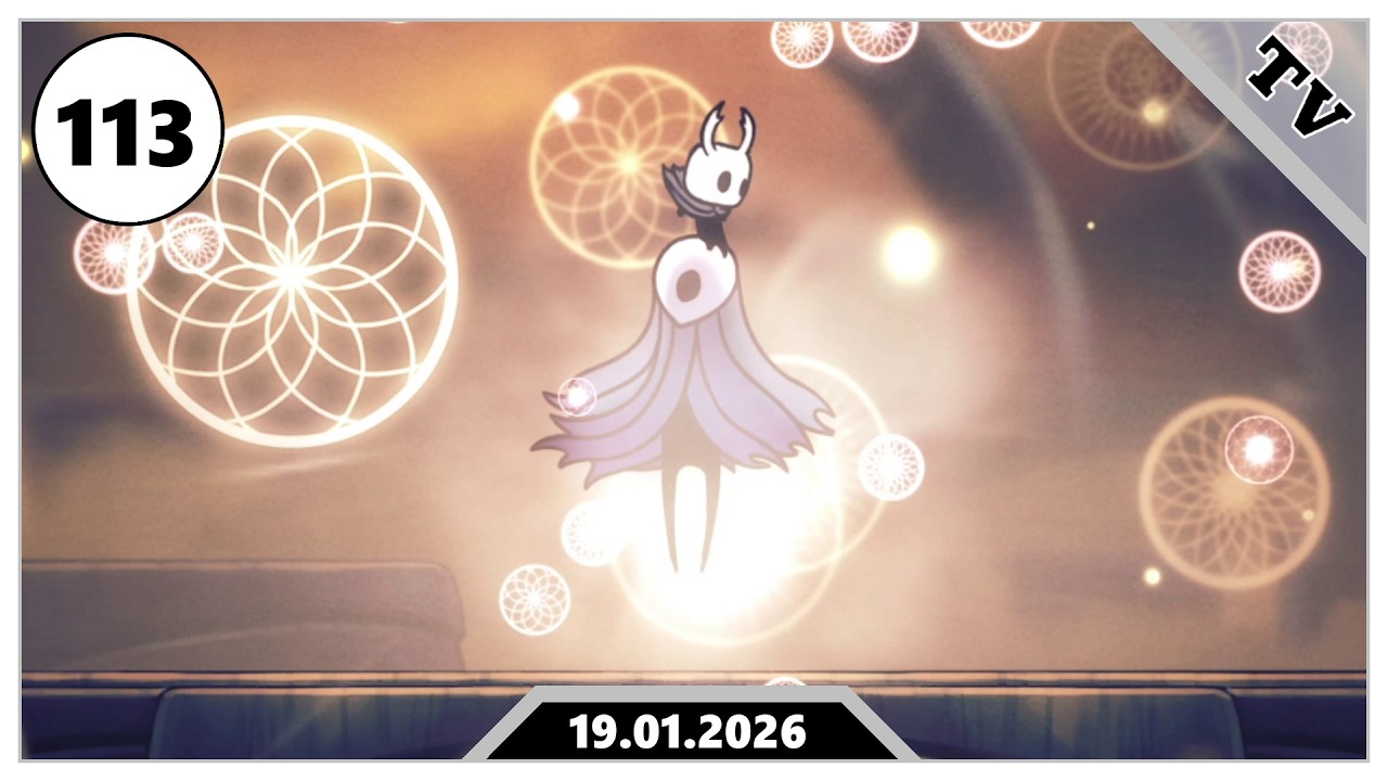 Es werden weniger Wächter 🪡 Hollow Knight [113]