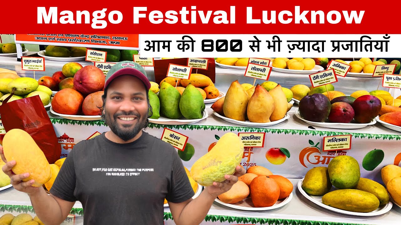 Mango Festival Lucknow 2025 || आम  महोत्सव  लखनऊ || Awadh Shilpgram Lucknow