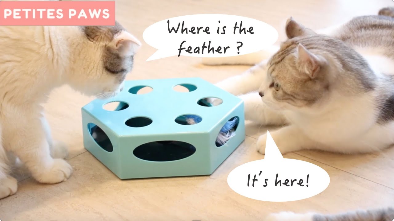 Rotating Feather Cat Toy Review - Does It Work?