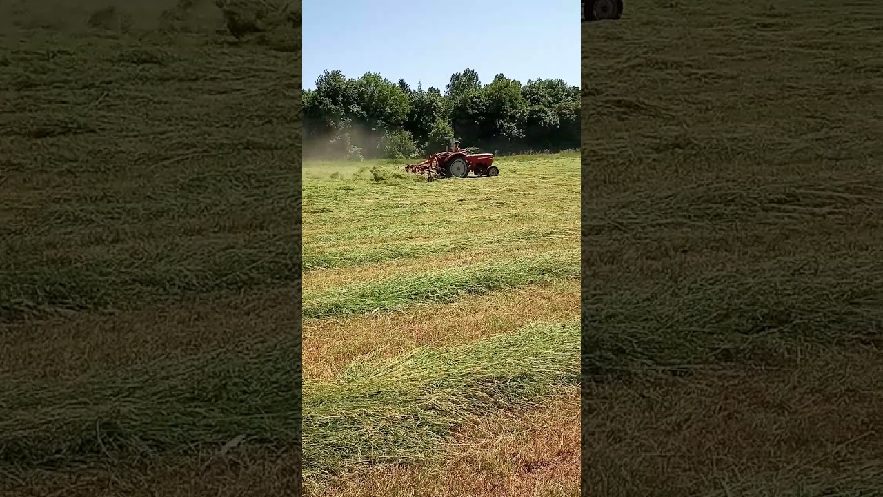 Güldner G30 Bj. '66 mit Kuhn GF 440 M Teil 4