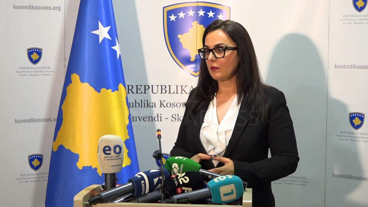 LDK-ja i përgjigjet VV-së! Edhe një konferencë në hollin e Kuvendit