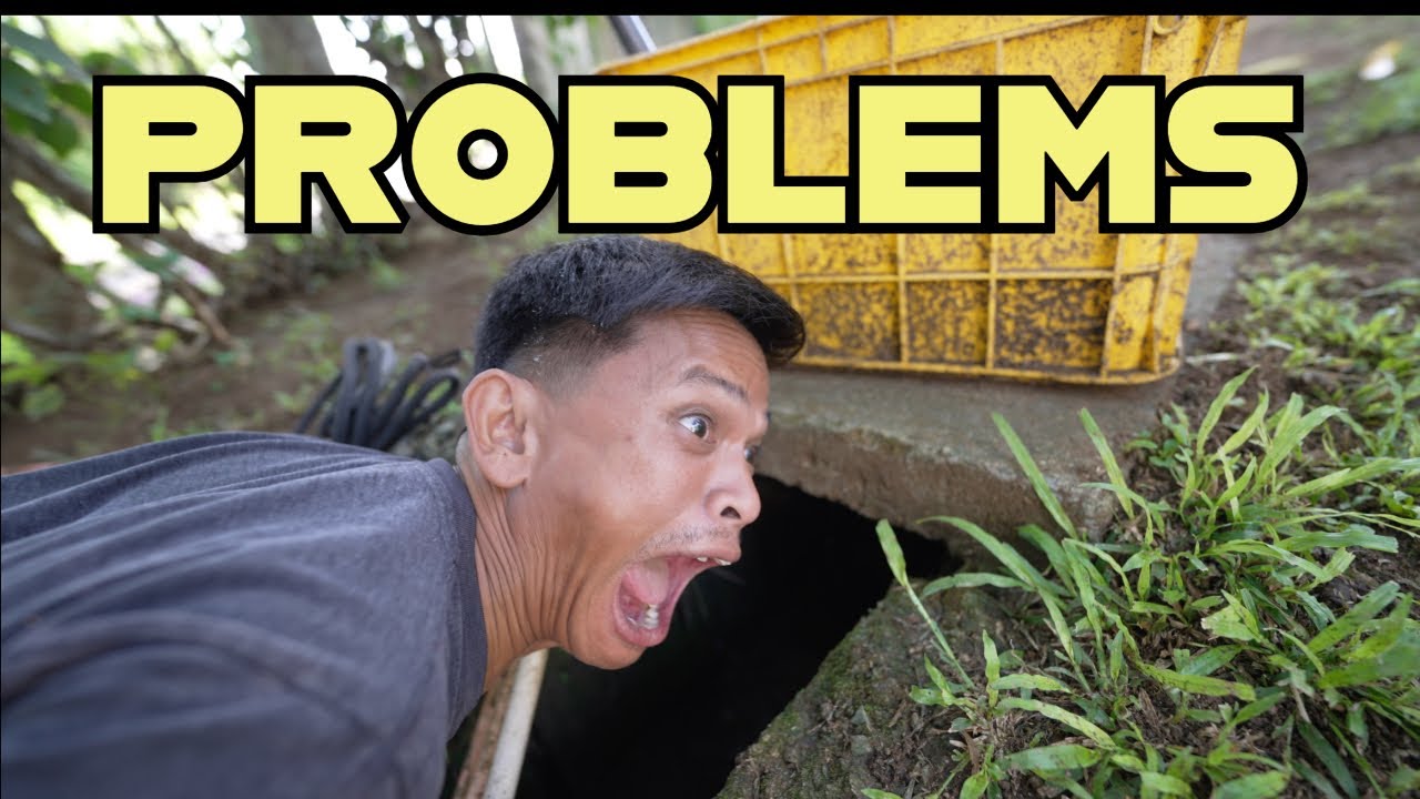 PROBLEMS