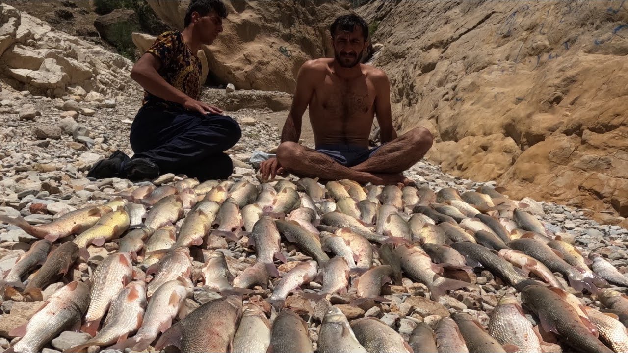 A treasure of fish: limitless fishing in the river