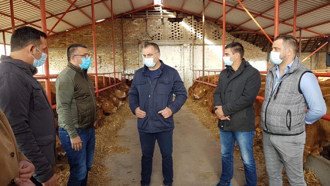 MINISTAR NEDIMOVIĆ POSETIO FARMU GOVEDA U BANATSKOM KARAĐORĐEVU
