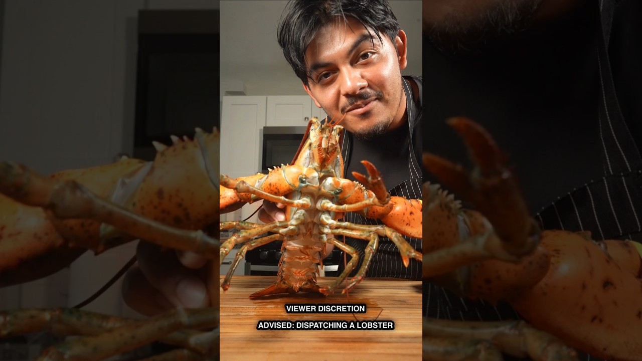 Quick and humane is the only way. #lobster #howto