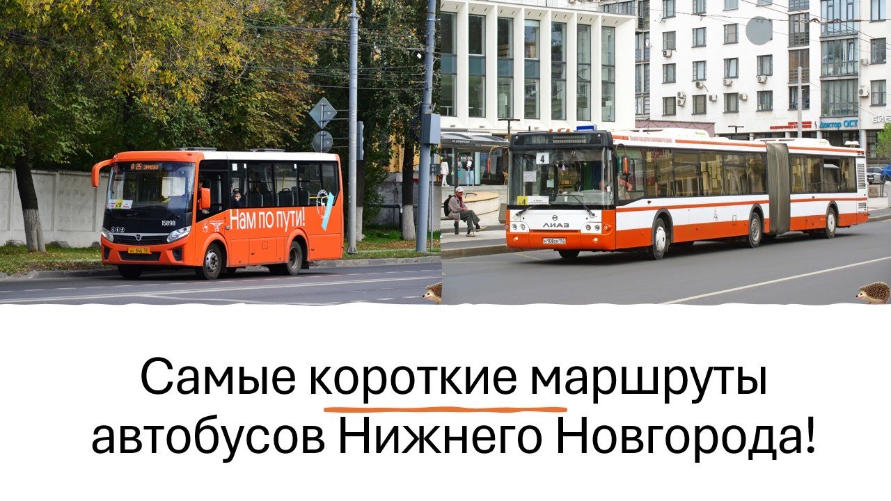 Самые короткие маршруты автобусов Нижнего Новгорода #нижнийновгород #автобус