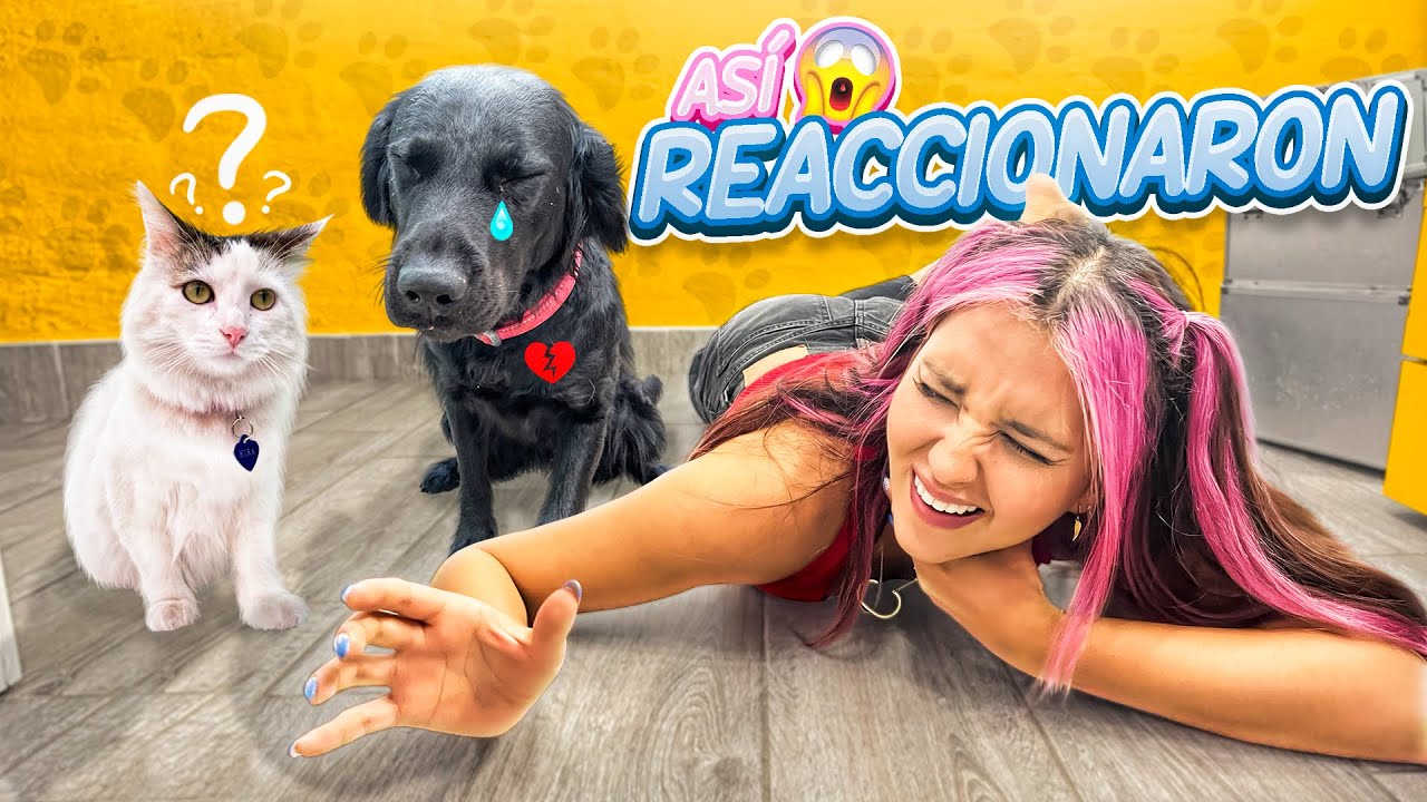 Finjo MI MUERTE delante de MIS MASCOTAS ¡TRATARON DE SALVARME! 😭🐶