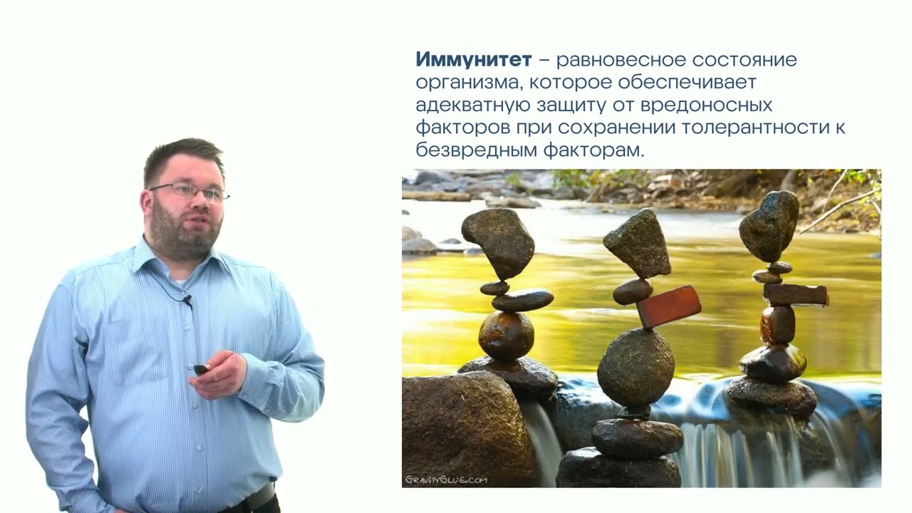 Молекулярная иммунология. Глава 1. Часть 1