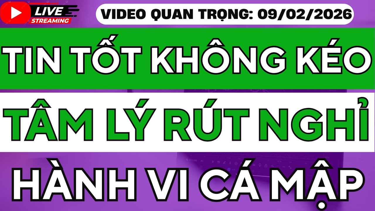 Tin Tốt Dồn Dập Nhưng Cổ Phiếu Không Chạy | Hành Vi Cá Mập Trước Tết