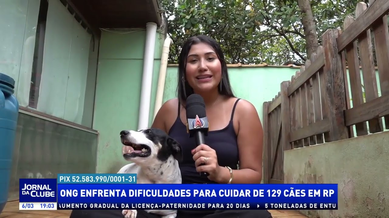 ONG enfrenta dificuldades para cuidar de 129 cães em RP - Jornal da Clube 2ª Ed. (06/03/26)