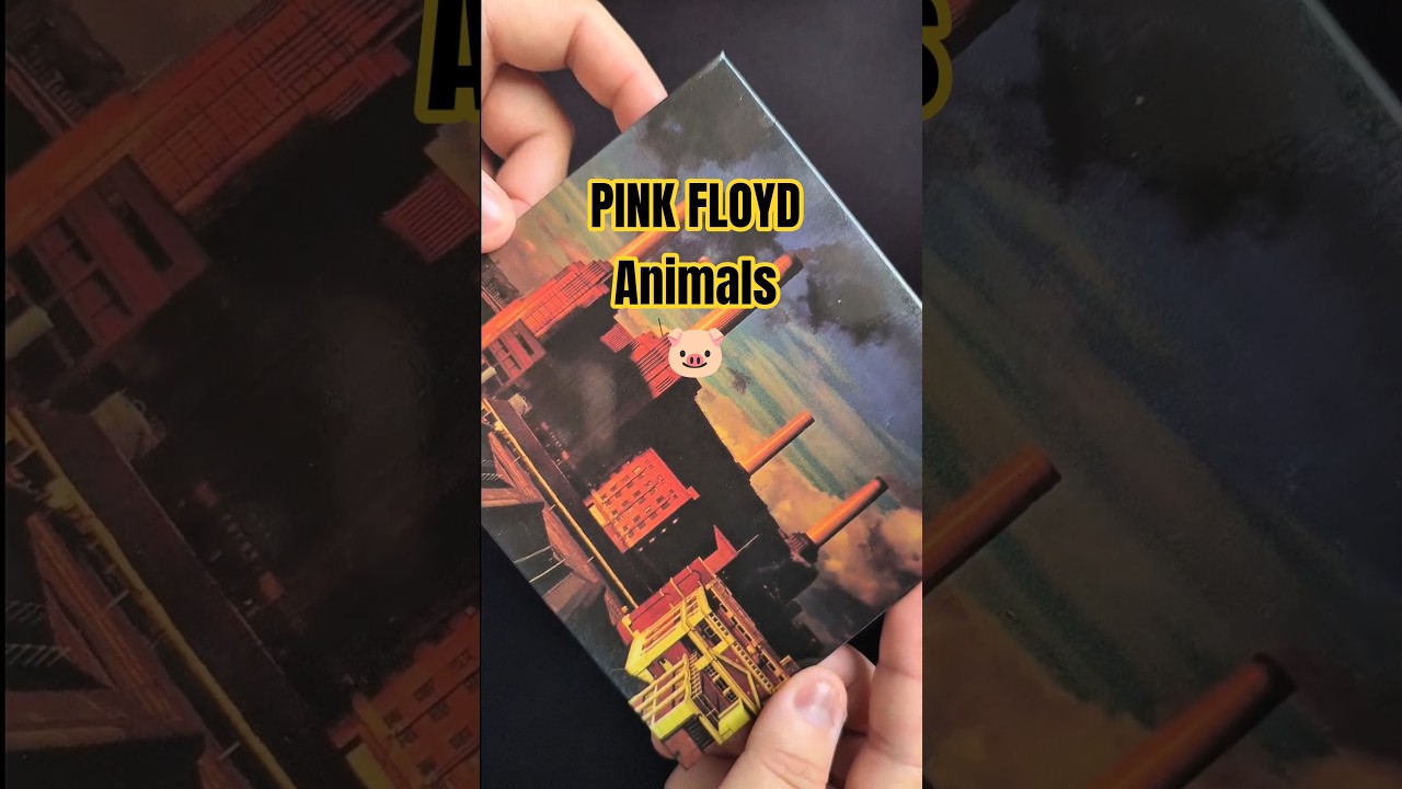 Pink Floyd - Animals 🐷. #pinkfloyd #animals #rock #rockclassic