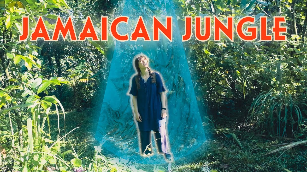 Volunteering in Jamaica | highs and lows of life in the jungle
