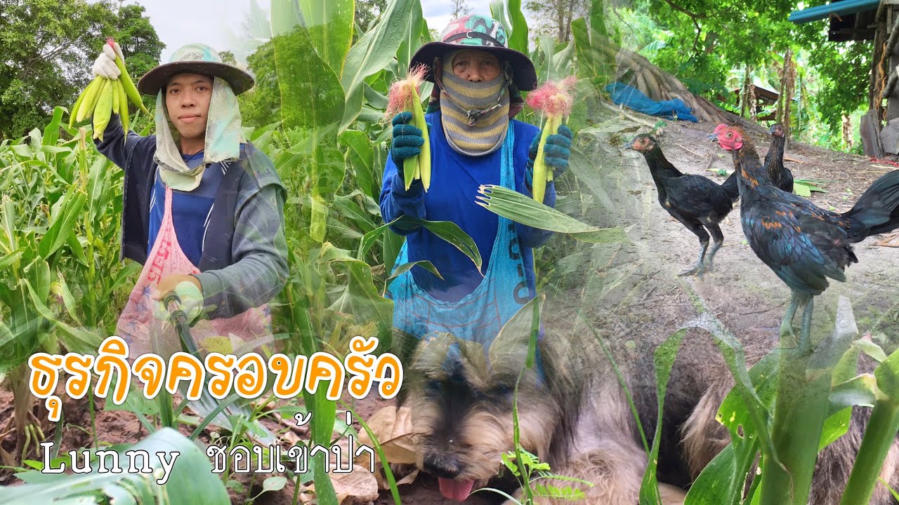 ชมกิจการครอบครัว บ่าวรันนี่ ทำธุระกิจอะไร?