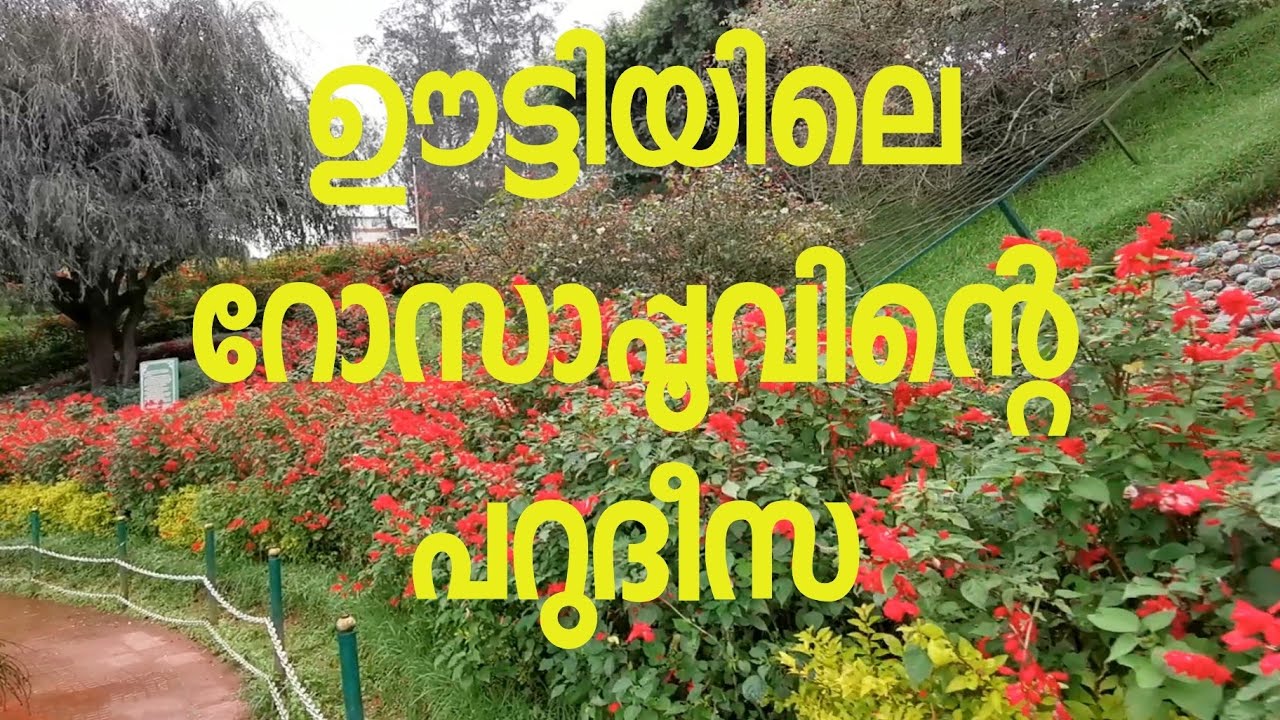 Rose Garden -Ooty