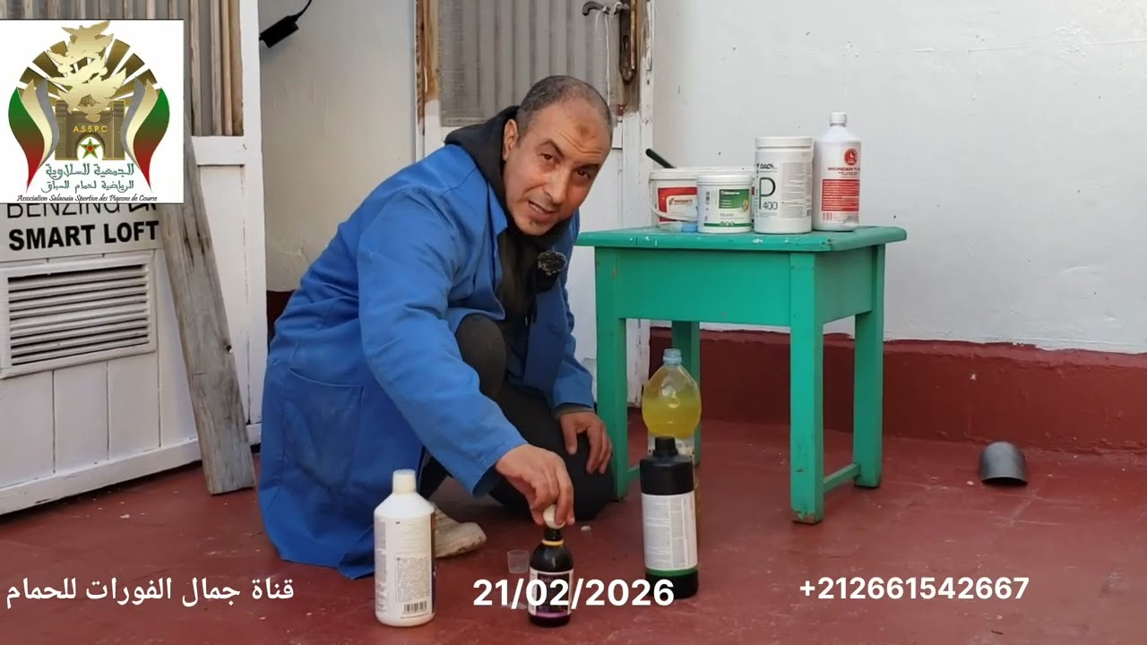 اليكم نتيجة السباق وعدد الحمام المتبقي مباشرة من العصارة ولله الحمد هذا من فضل ربي وشكرا 