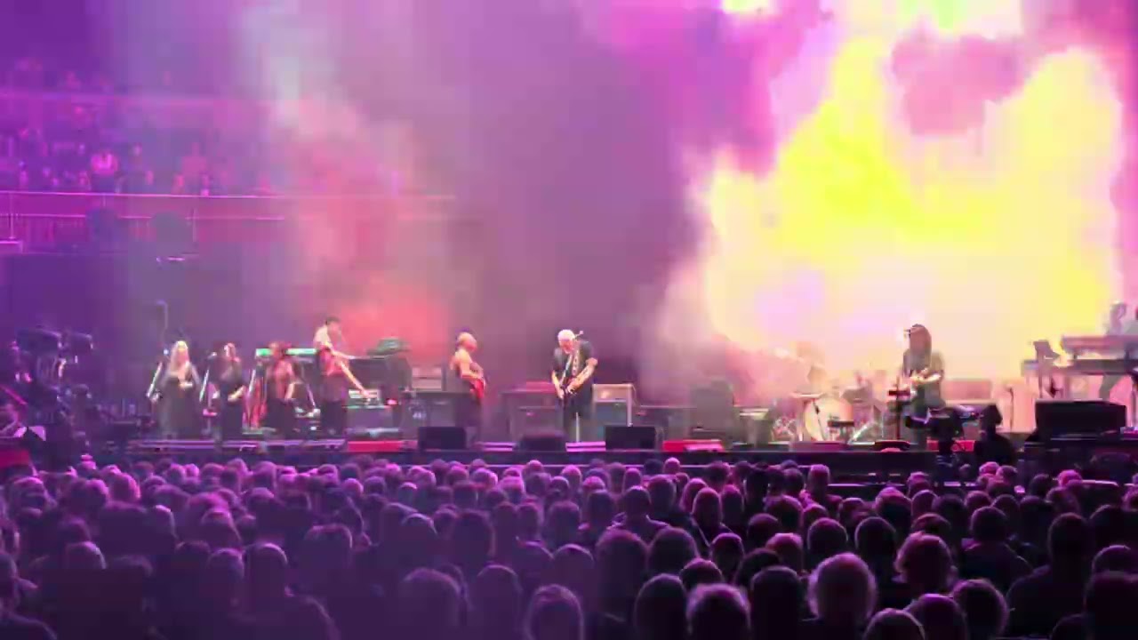 David Gilmour - Sorrow guitar solo (Pink Floyd) - Live from Royal Albert Hall - 14th of October 2024