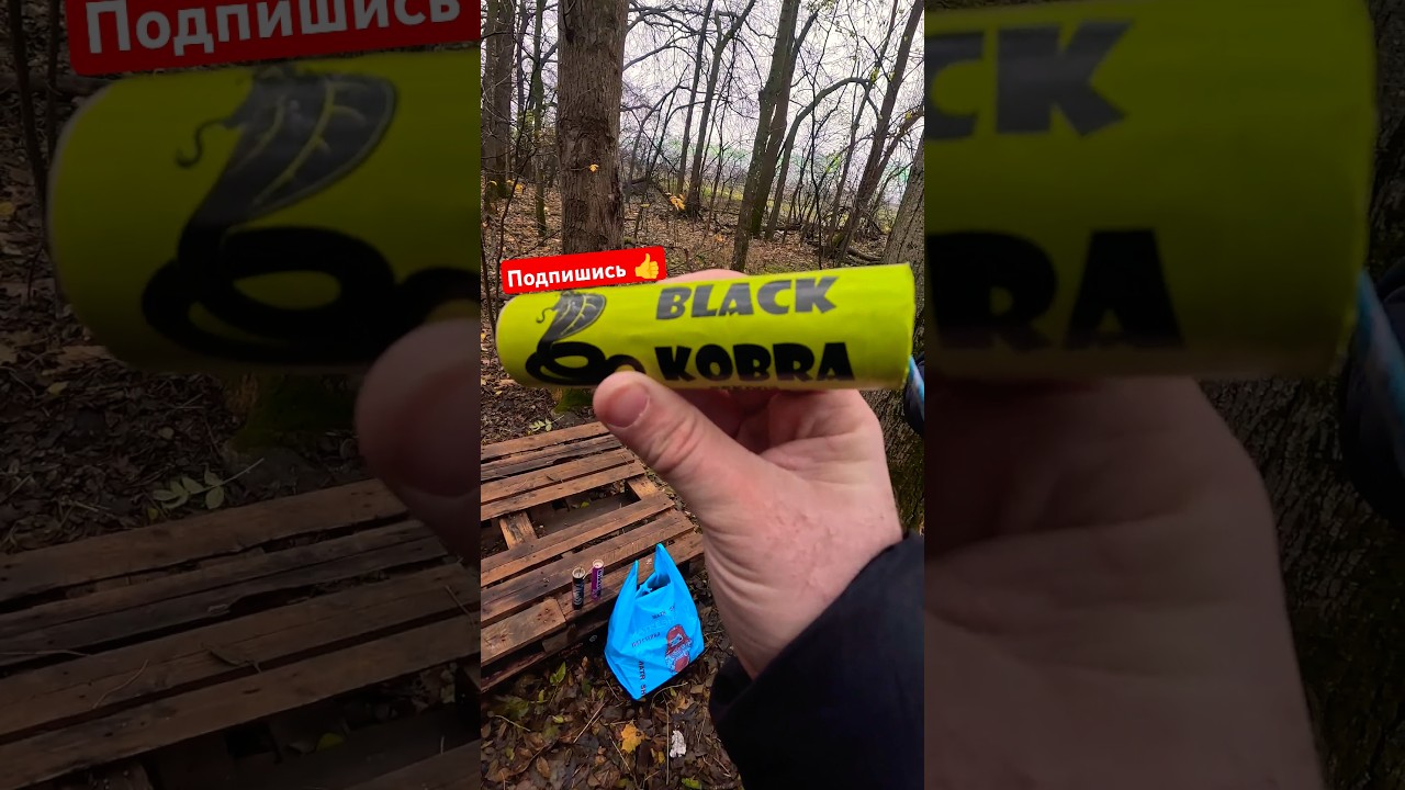 ПЕТАРДА BLACK COBRA / ТЕСТ ПЕТАРД / ПИРОТЕХНИКА #новинка #обзор #fireworks #петарды #пиротехника