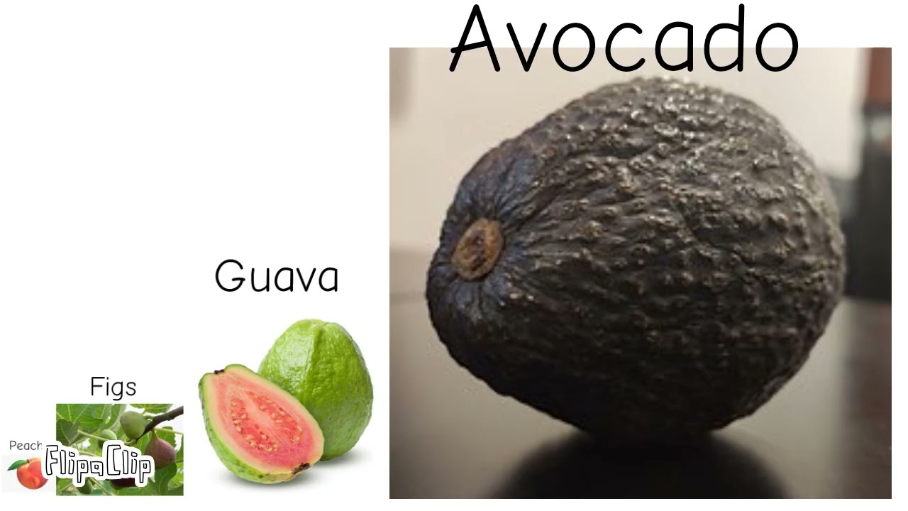 Fruit Size Comparison v2 original