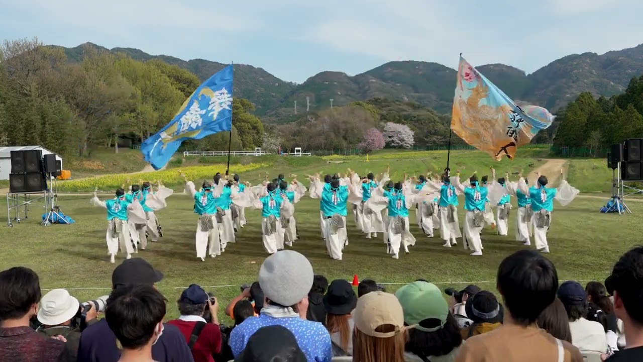 【4K】舞龍人『晴夜』｜菜の花よさこい2024