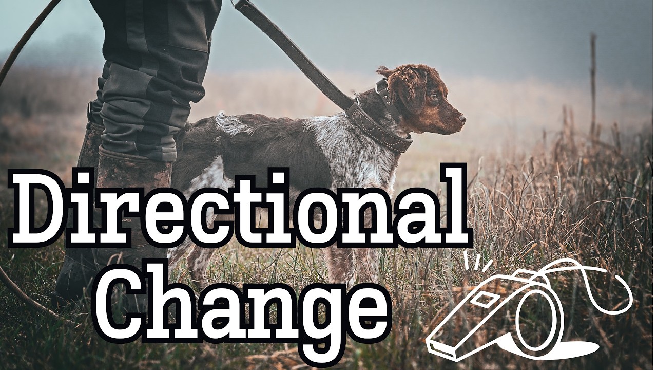 Whistle Training - Directional Change