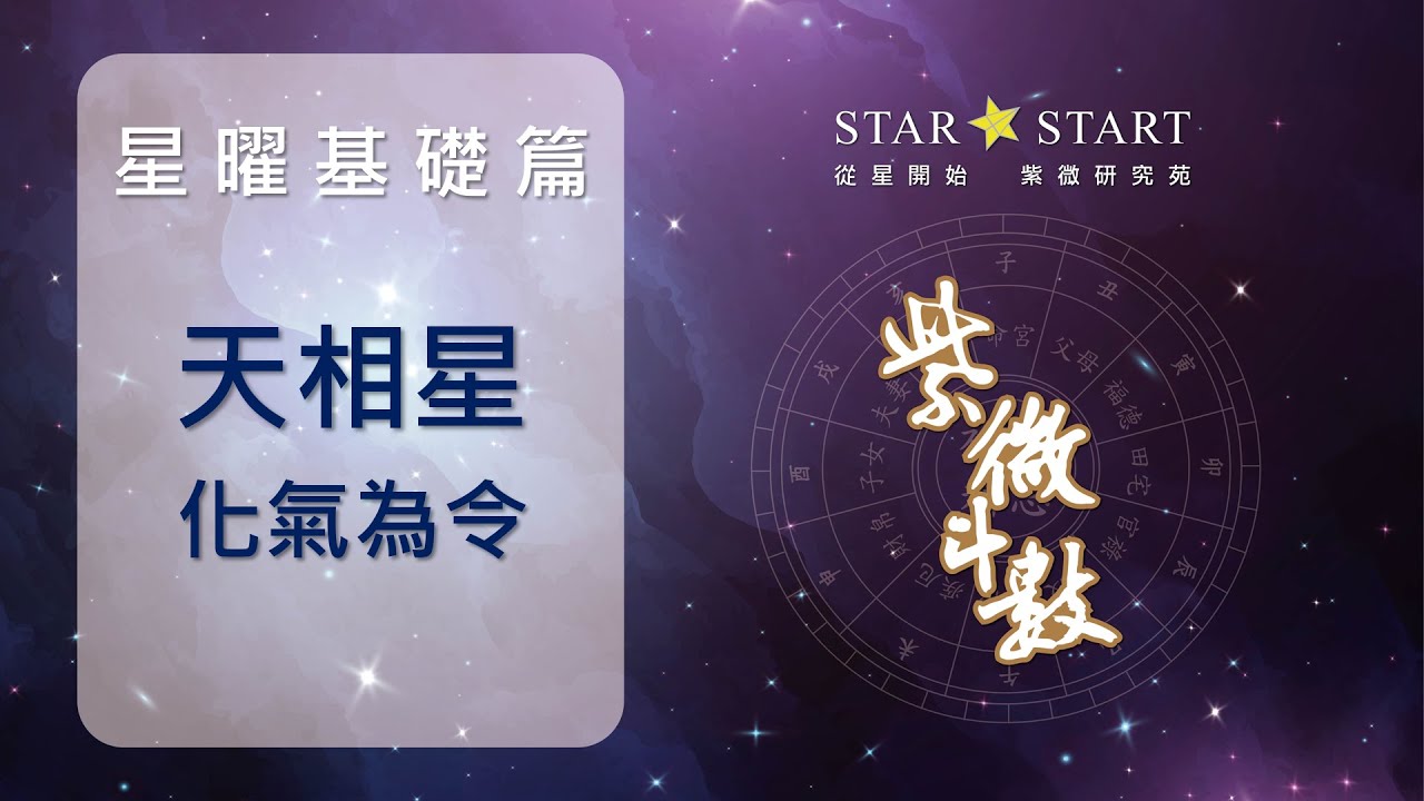 [星曜基礎]守規矩的天相星，遵守的是自己所認定的規矩 (從星開始 紫微研究苑)