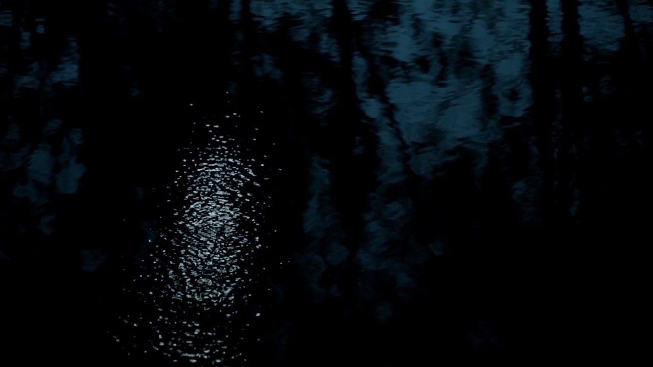 REDONDANCE ISIDORE   official VIDEO