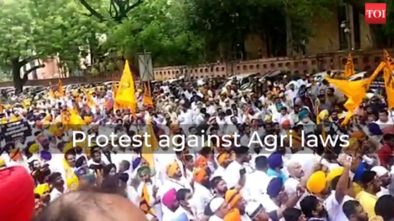 Farm laws: Shiromani Akali Dal leaders stage protest against Centre in Delhi