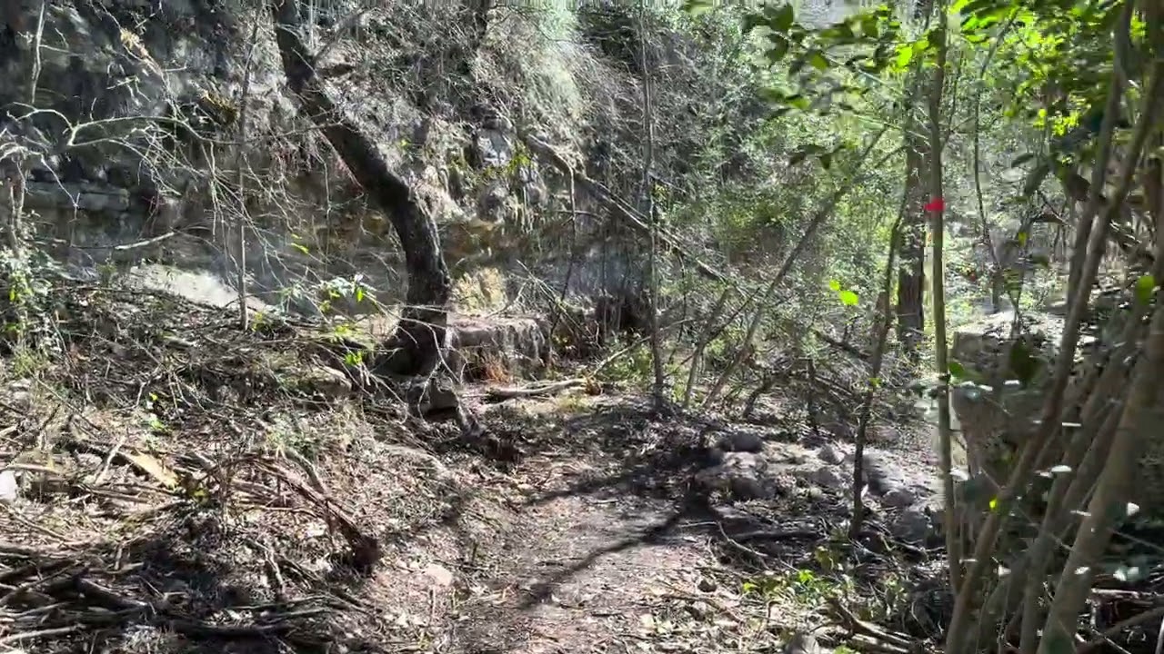 Obscure trails near bull creek. Austin Texas nature hike