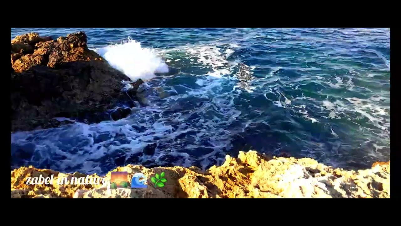 DID YOU LIKE THE WAVES CARESSING THE ROCKS ?🌊🎶🎶