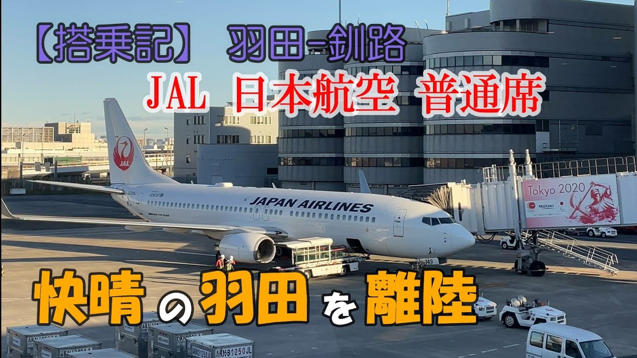 JAL 日本航空 羽田-釧路　普通席 搭乗記　JL541便　快晴の東京上空