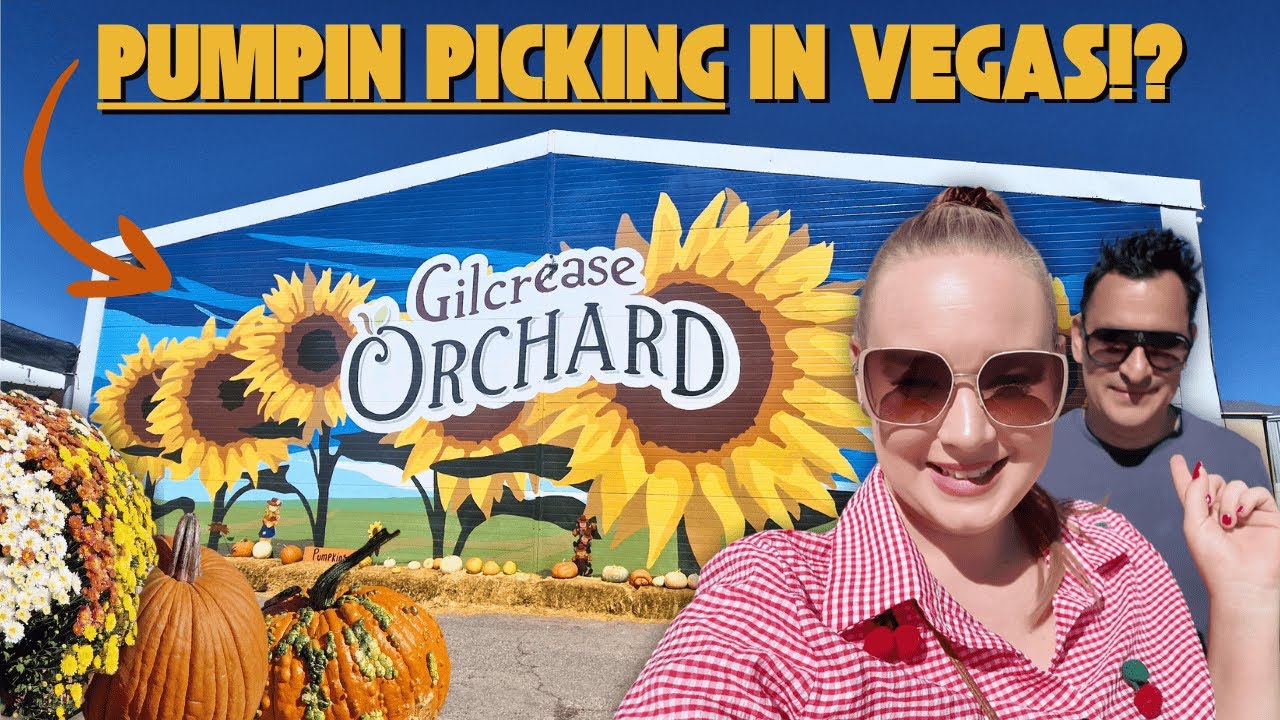 СБОР ТЫКВЫ в Лас-Вегасе!? Отправляйтесь с нами в сад Gilcrease Orchard — всего в 30 минутах от Ст...