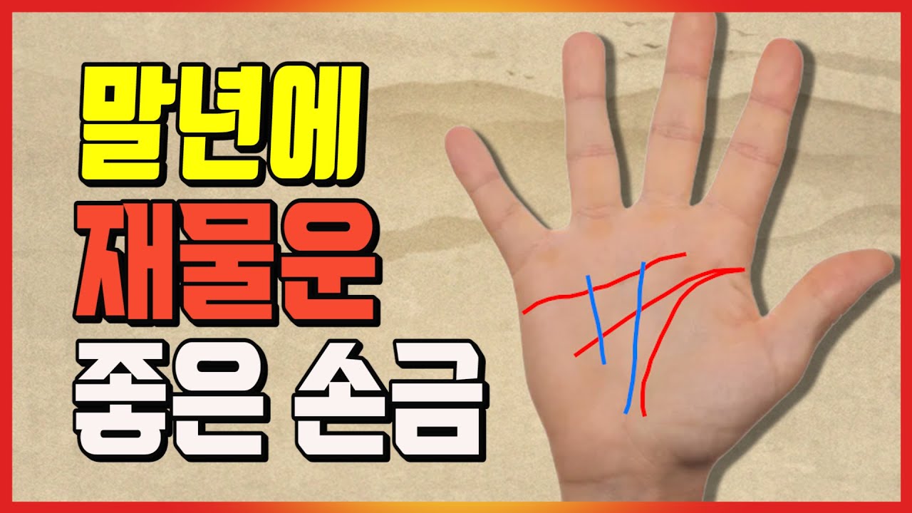 [관상]말년에 운이 좋은 + 부자되는 손금은? | 관상학의 대가이신 노승우 교수님과 함께..