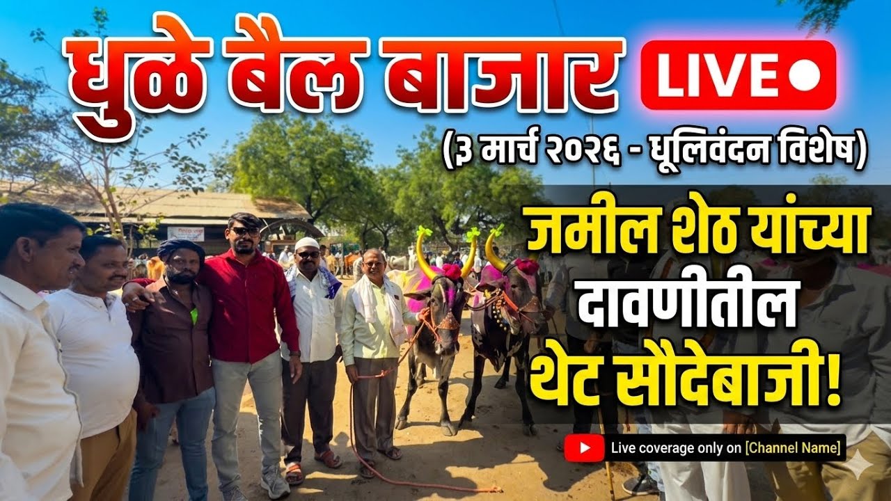 धुळे बैल बाजार live 🔴 3 मार्च 2026 धूलिवंदनचा बैल बाजार जमील शेठ याच्या दावणीतील लाईव्ह सौदेबाजी 