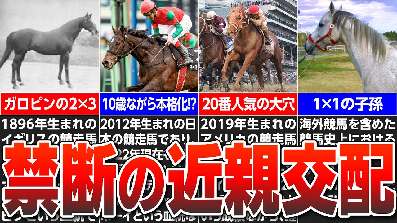 【競馬】禁断の近親配合で生まれたインブリードすぎる驚愕の名馬たち【究極の血統】【濃厚クロス】