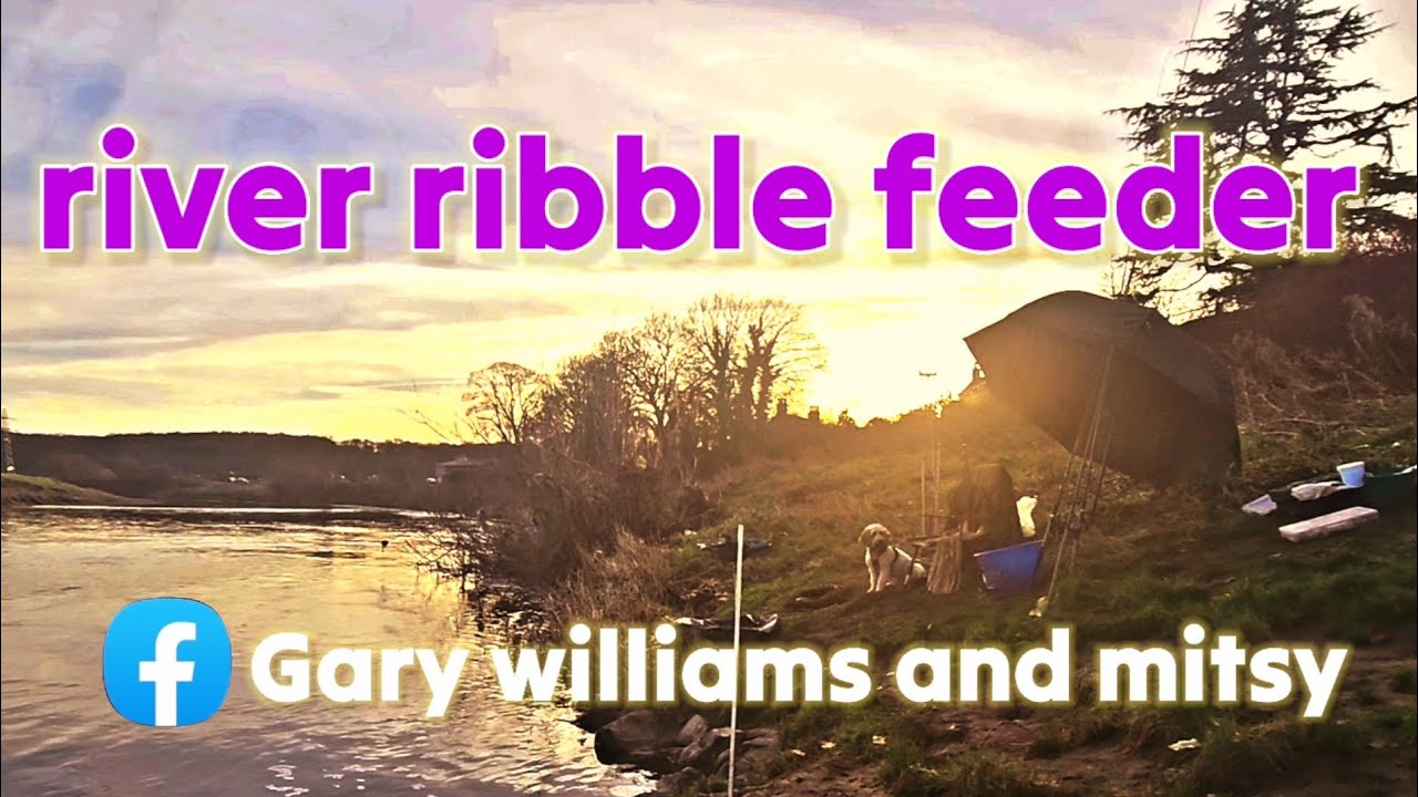 the river ribble at ribchester @garywilliamsandmitsy #hinders #riverfishing #ribble #silverfish