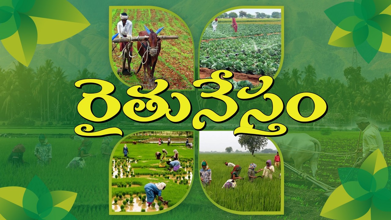 తెలంగాణాలో కొర్రమీను జాతి చేపల పెంపకం, యాజమాన్య పద్ధతులు |  #Raithunestham - Phone in live