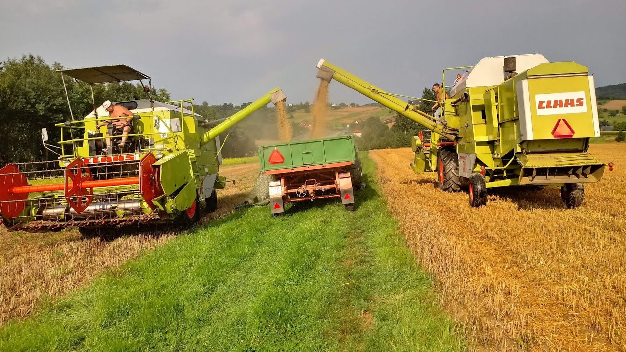 Żniwa 2018 Claas Dominator 66,76 Rollant 250.