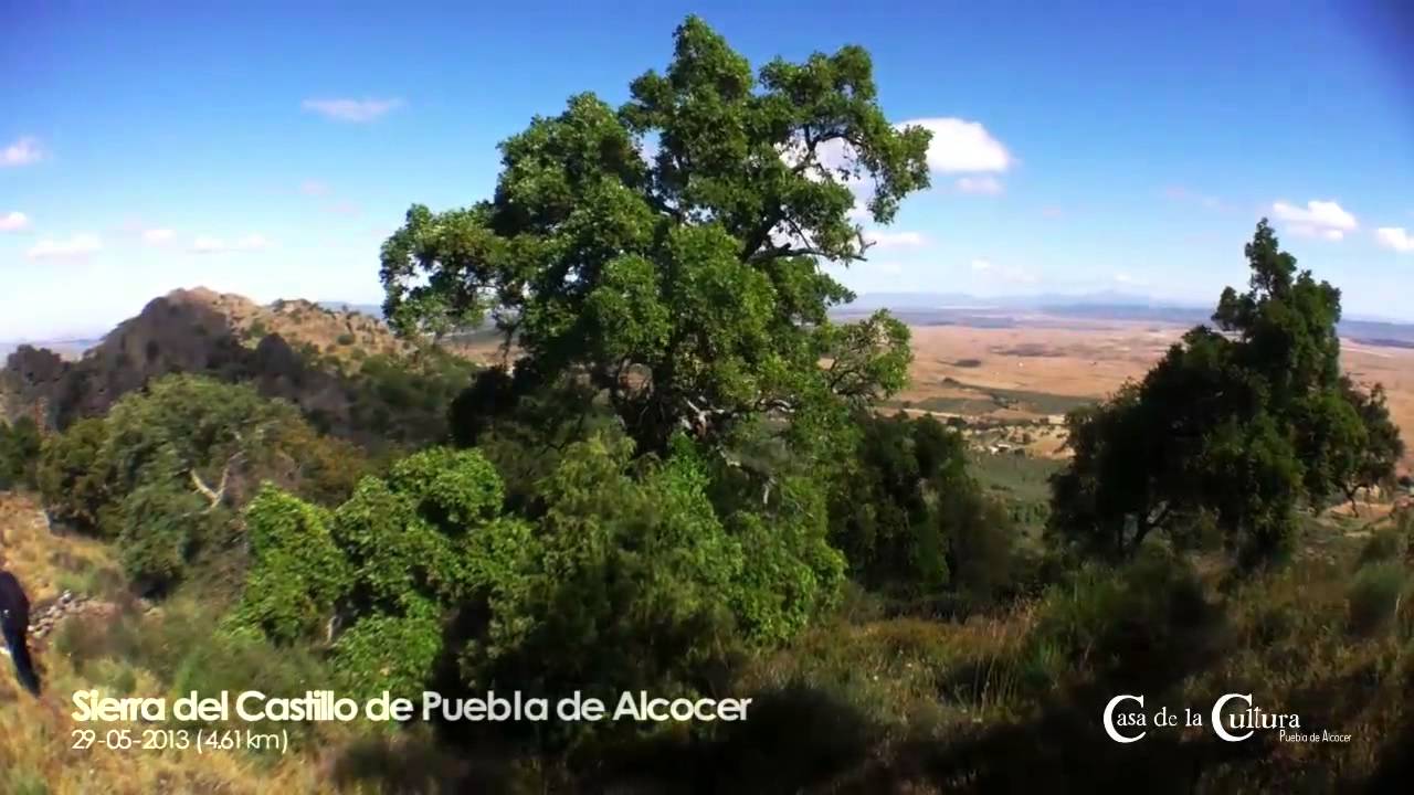 Paseo por la sierra del Castillo de Puebla de Alcocer ( Badajoz )