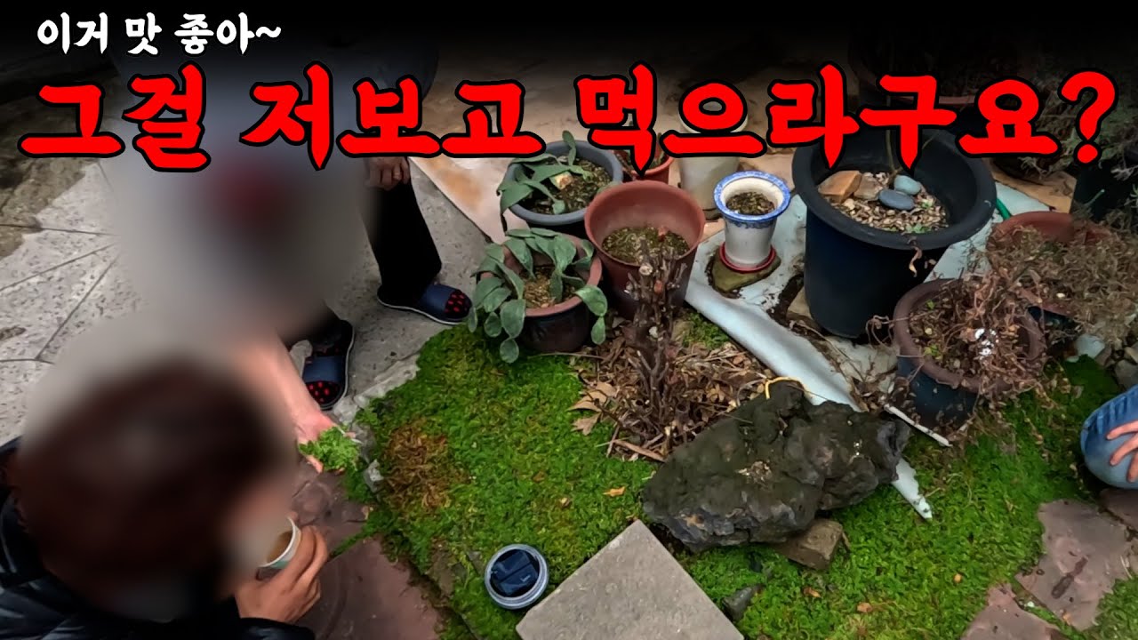 저보고 풀을 먹으라고요? 갑자기?! | 하수구 대마왕 😈