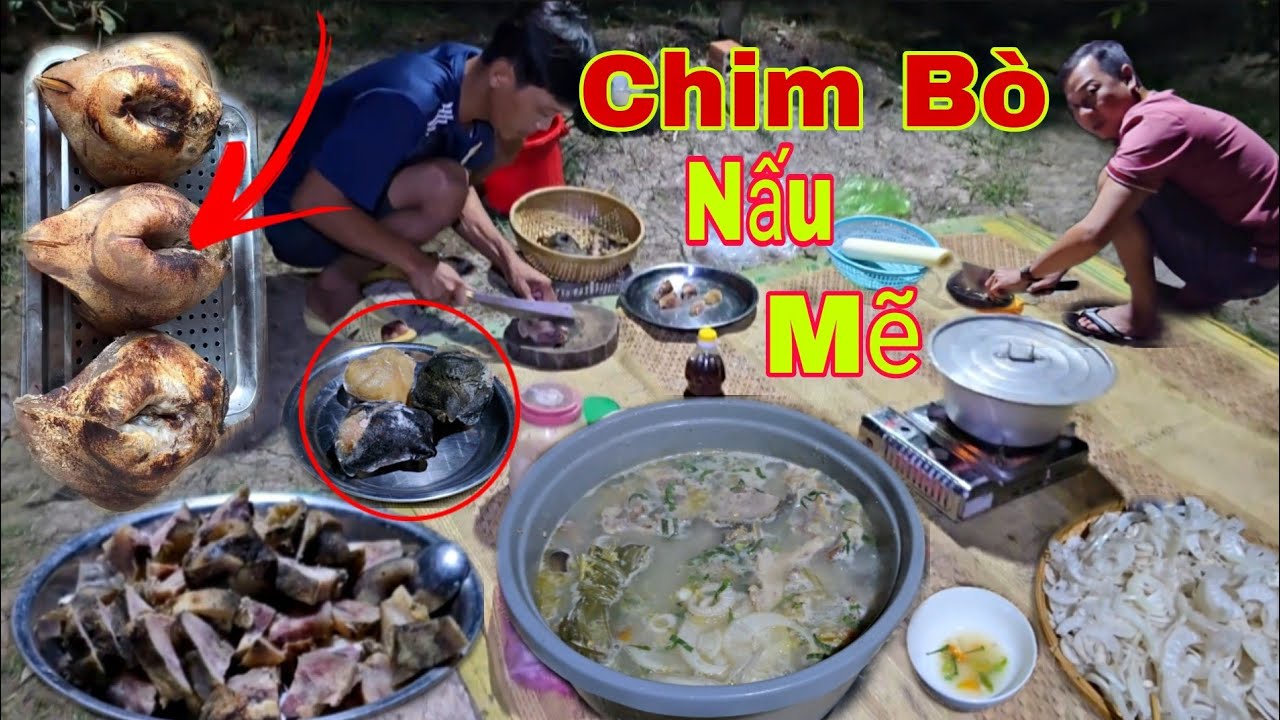 Ah 3 Báo 