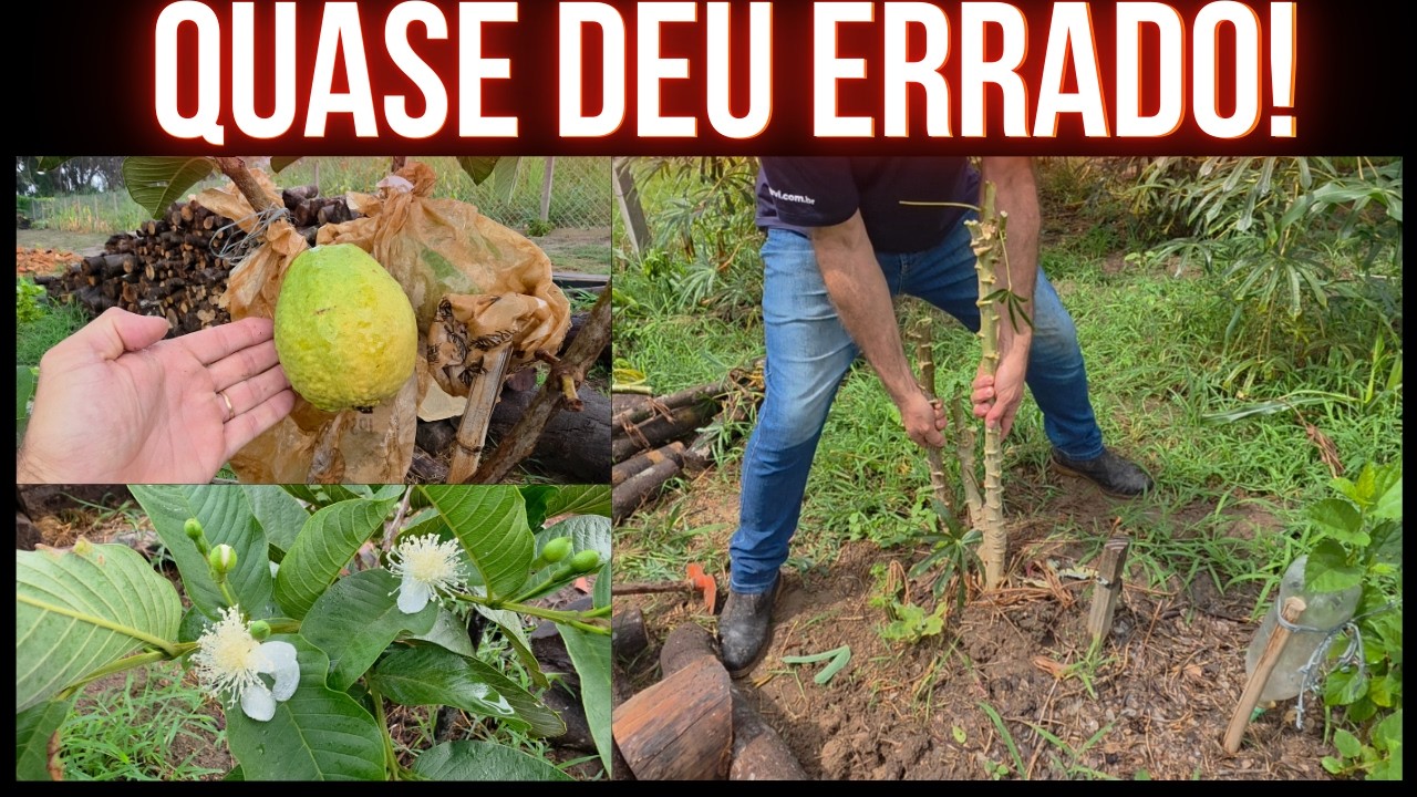 QUE DIA DIFÍCIL! A CHUVA NÃO DEU TRÉGUA | Simplicidade na Roça | Chácara do Zero | Vida Simples