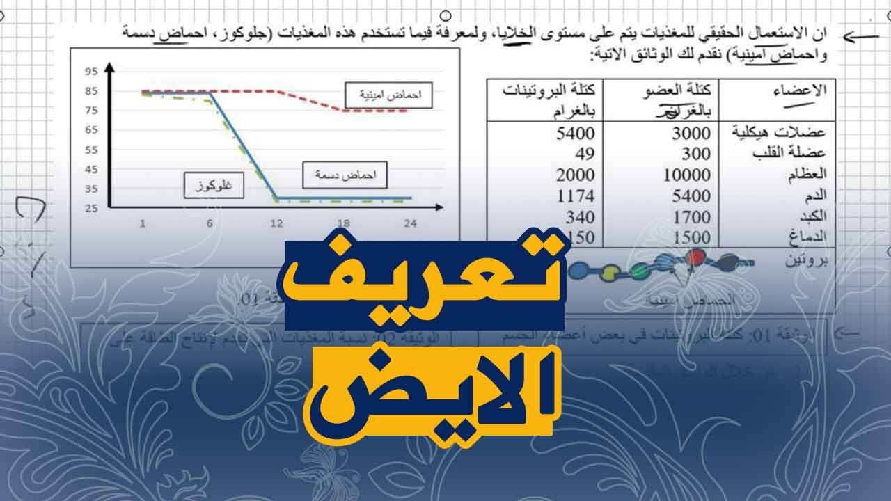 تمرين جيد على الايض ، دور المغذيات في الجسم علوم طبيعية للسنة الرابعة متوسط الجيل الثاني