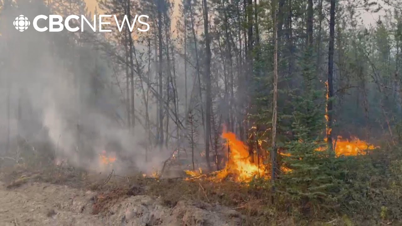 Candle Lake, Sask., officials seek approval for firebreak as wildfire threat increases