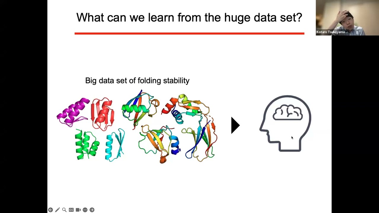 Mega-scale experimental analysis of protein folding stability in biology and design
