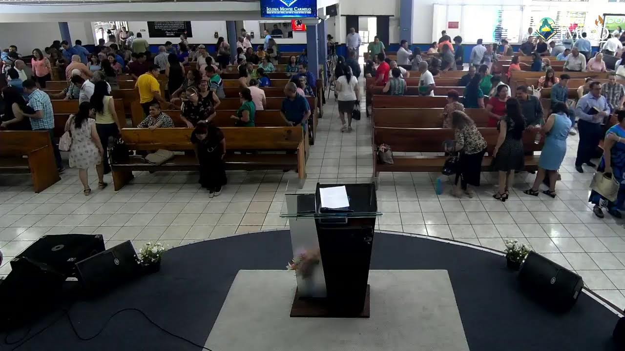 Domingo 22 de Febrero del 2026 | (((EN VIVO)))