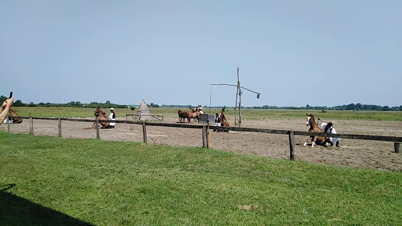 Bugacpusztai csikósbemutató (részlet)