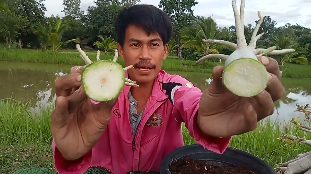 พาทำรากตะขาบ .. ตามสัญญา จัดไปครับ