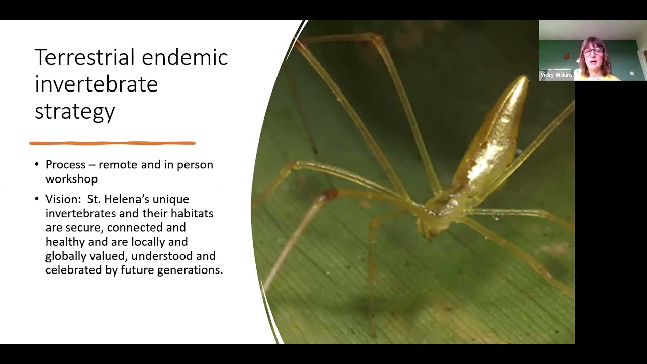 The progress and impact of St Helena's invertebrate strategies and the Spiky Yellow Woodlouse ...