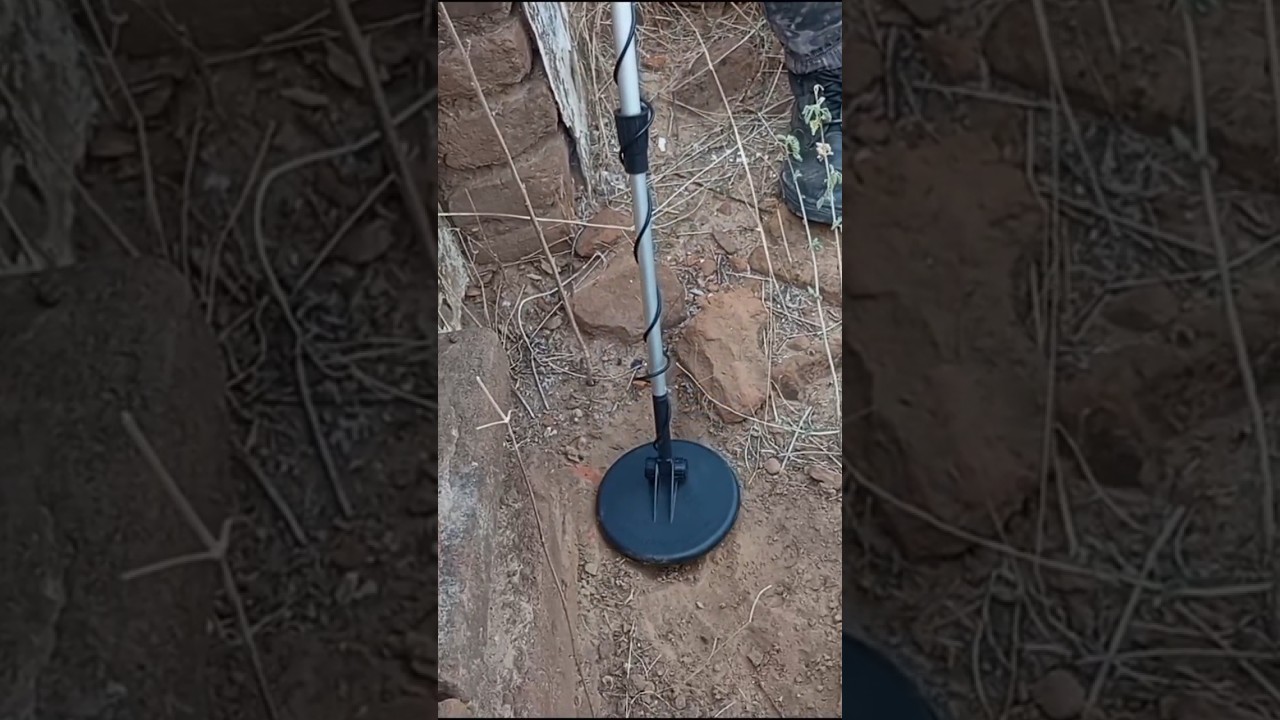 CA&Ccedil;ANDO BOTIJA 🪙 NO SERT&Atilde;O 🌵 COM DETECTOR DE METAIS ! #aventura #botija #caatinga #natureza #lendas