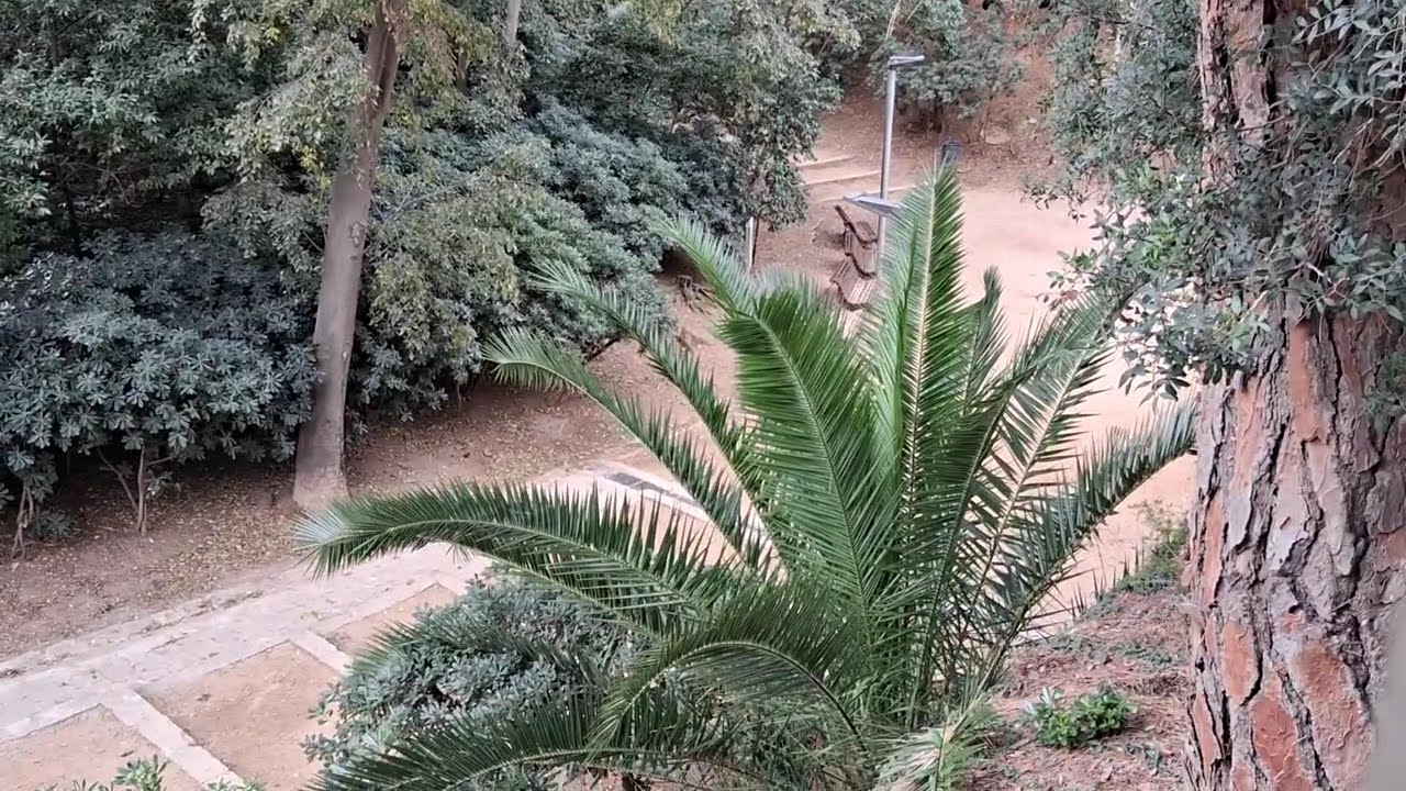 Jardins de Ca n'Altimira